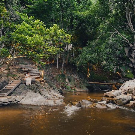 เดอะริเวอร์ แม่กำปอง The River Maekampong Chiang Mai Ban Pok Nai Exteriér fotografie